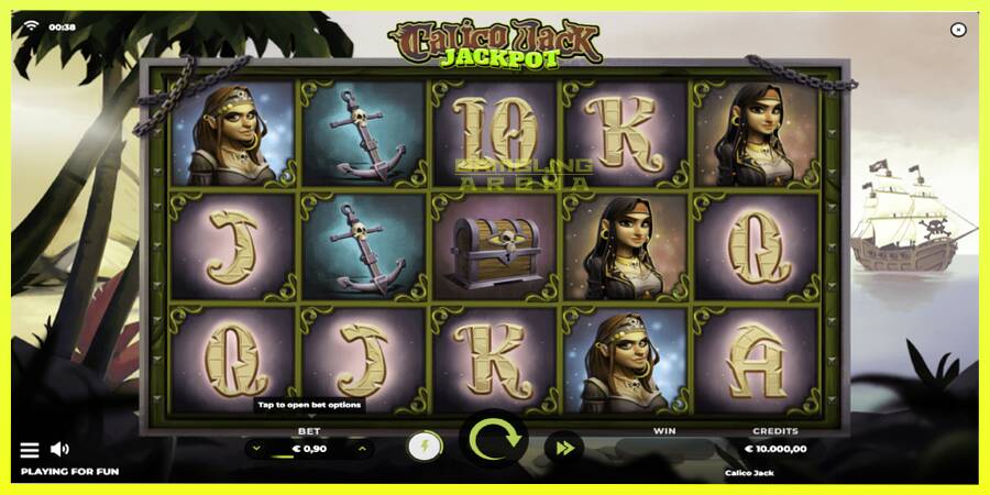 चित्र 1 गेमिंग मशीन Calico Jack Jackpot