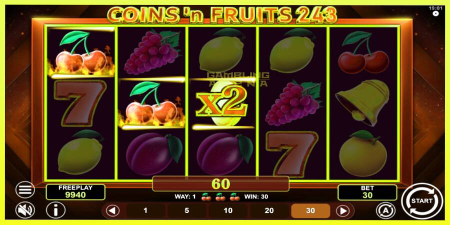 चित्र 3 गेमिंग मशीन Coinsn Fruits 243