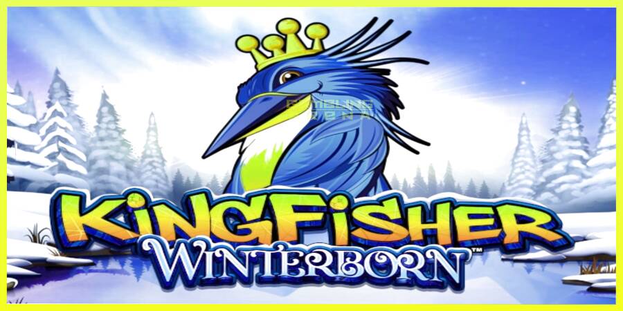 चित्र 1 गेमिंग मशीन Kingfisher Winterborn