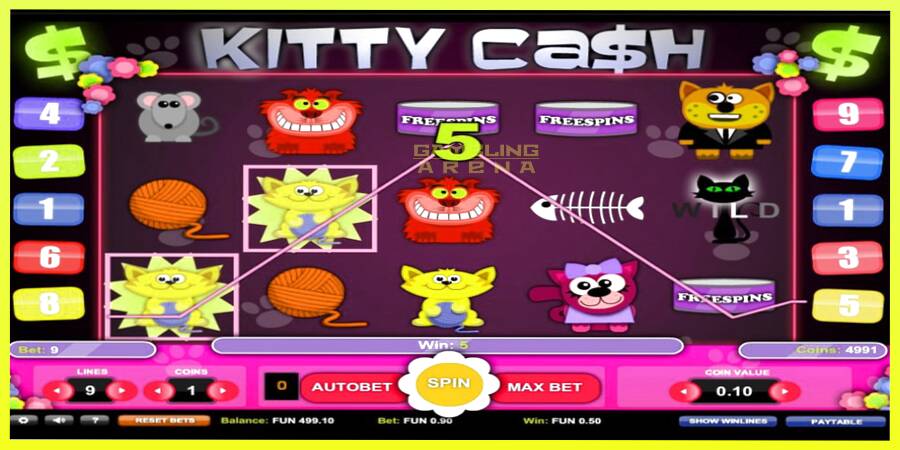 चित्र 3 गेमिंग मशीन Kitty Cash