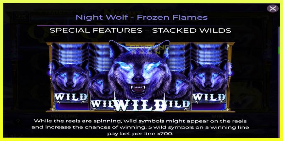 चित्र 4 गेमिंग मशीन Night Wolf - Frozen Flames