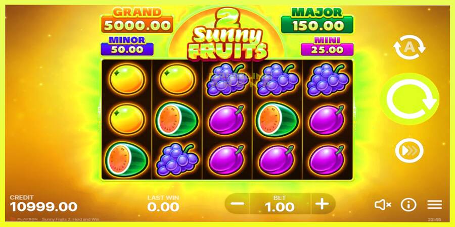 चित्र 2 गेमिंग मशीन Sunny Fruits 2: Hold and Win