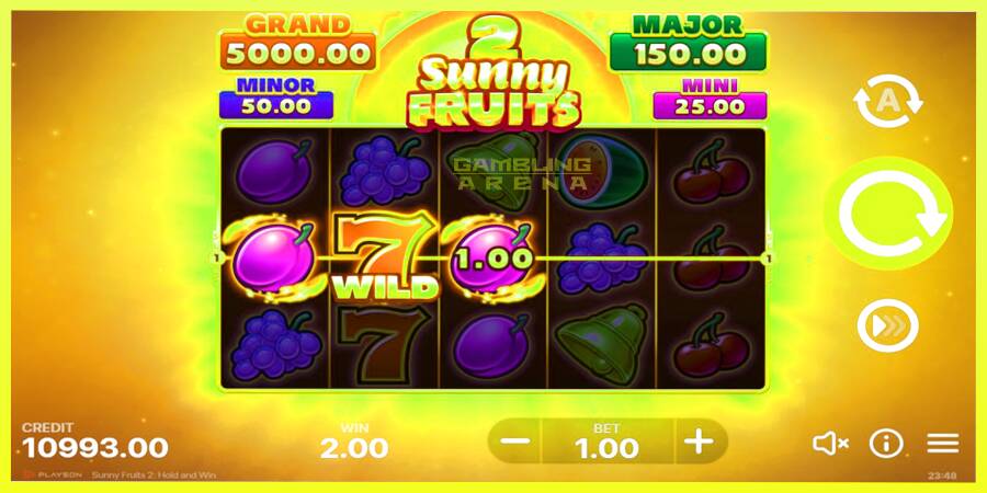 चित्र 3 गेमिंग मशीन Sunny Fruits 2: Hold and Win