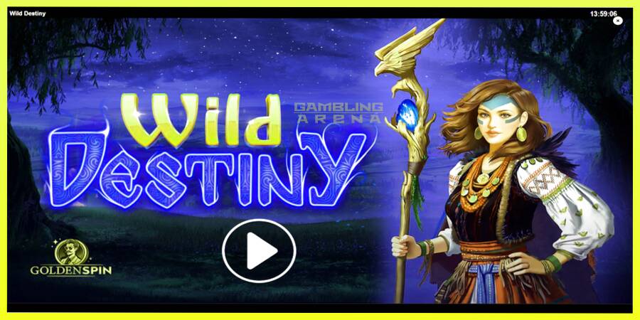 चित्र 1 गेमिंग मशीन Wild Destiny