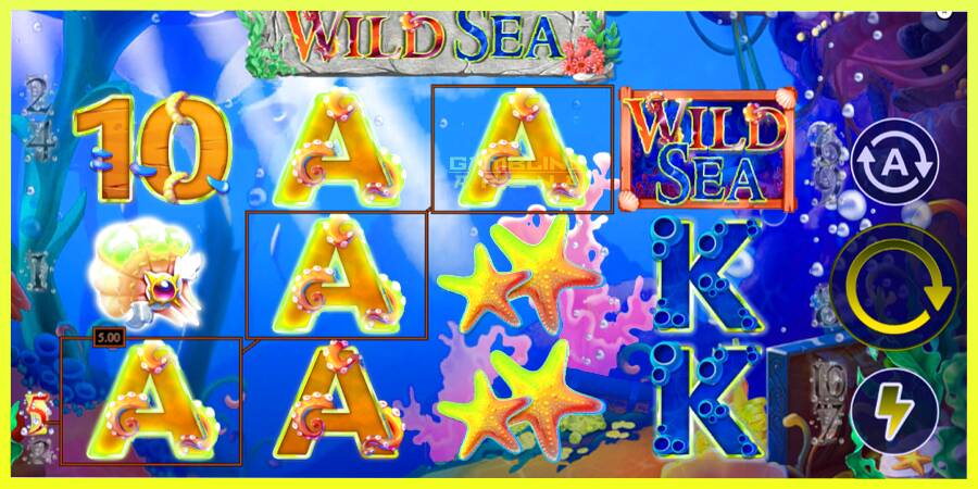 चित्र 2 गेमिंग मशीन Wild Sea