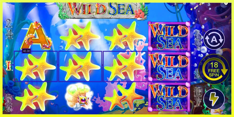 चित्र 4 गेमिंग मशीन Wild Sea