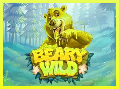 गेमिंग मशीन Beary Wild