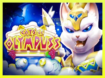 गेमिंग मशीन Cats of Olympuss