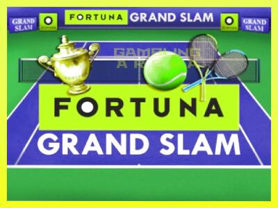 गेमिंग मशीन Fortuna Grand Slam