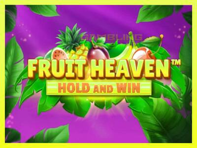 गेमिंग मशीन Fruit Heaven Hold and Win