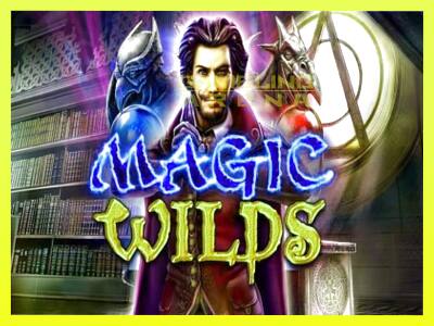 गेमिंग मशीन Magic Wilds