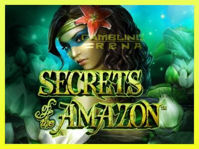 गेमिंग मशीन Secrets of the Amazon