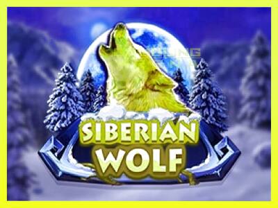 गेमिंग मशीन Siberian Wolf