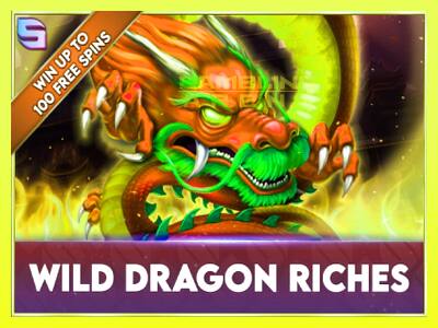 गेमिंग मशीन Wild Dragon Riches