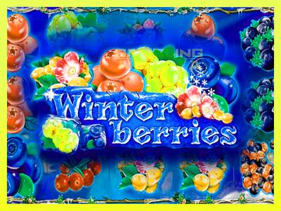 गेमिंग मशीन Winterberries